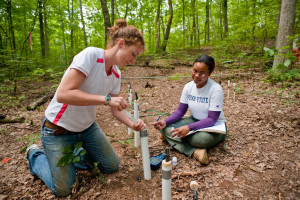 study soil sciences in Ukraine